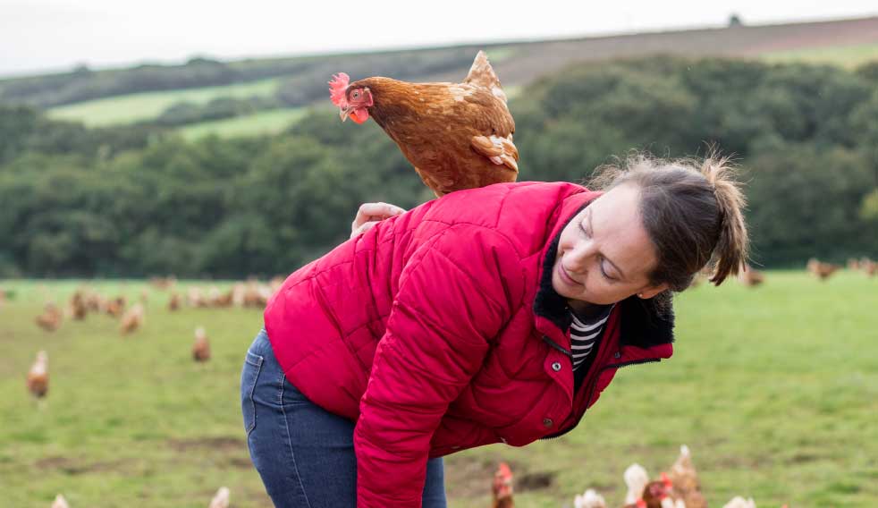 Introducing St Ewe Farm